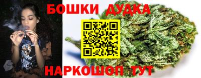 apvp Дубна