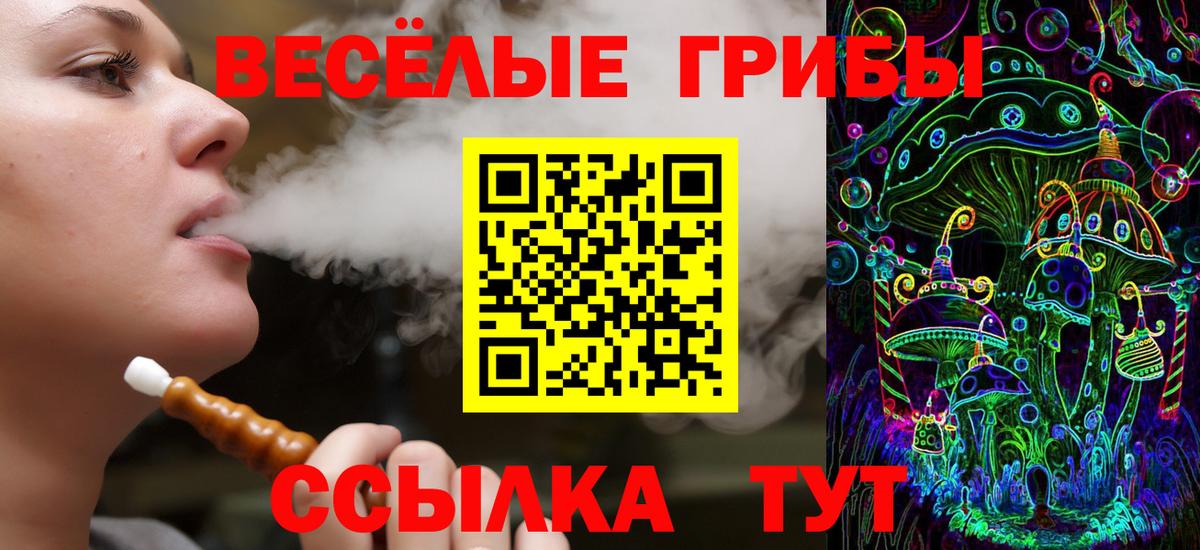 Галлюциногенные грибы MAGIC MUSHROOMS  Псилоцибиновые грибы Cubensis  Миллерово  Вход с VPN 
