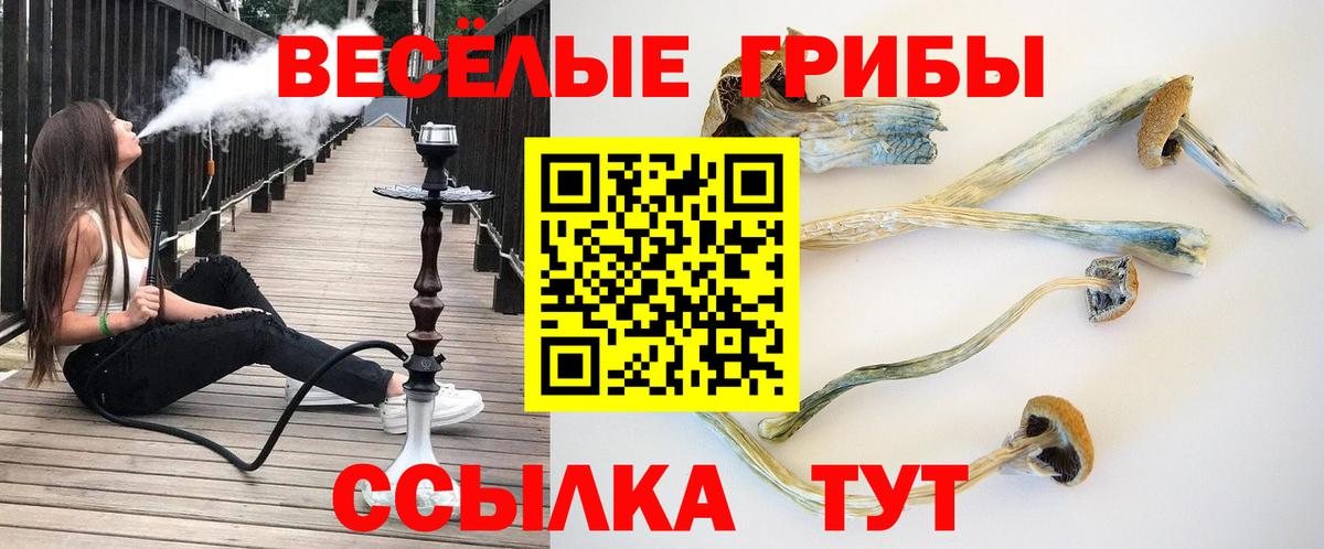 Галлюциногенные грибы ЛСД Миллерово