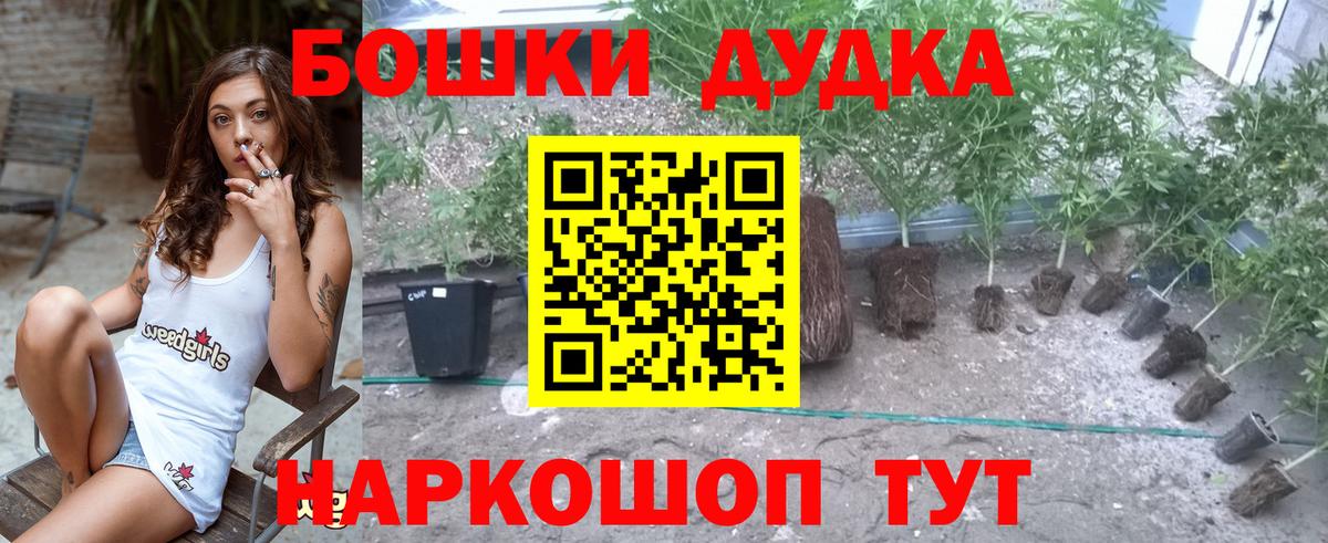 Конопля конопля Миллерово